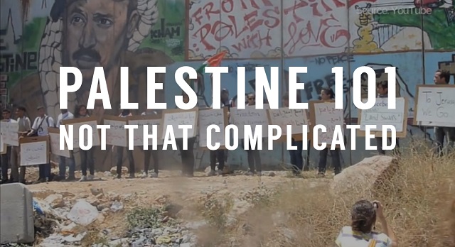 Palestine 101 video